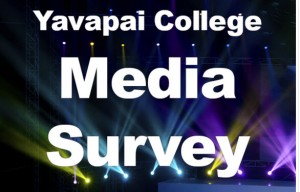 MEDIA SURVEY