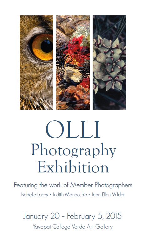 Olli photo exhibit 2